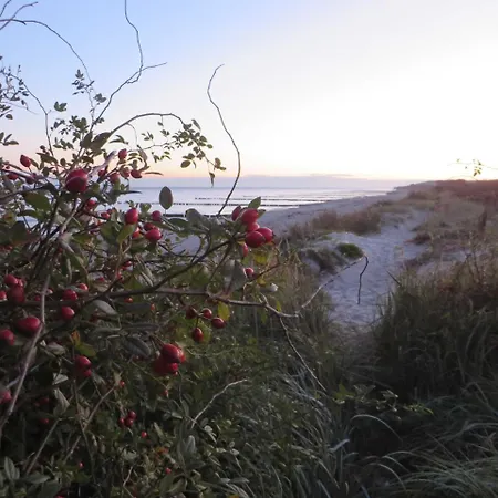 Lejlighed Exkl_ App_ Buhne_ Kamin_ W_lan_ 25